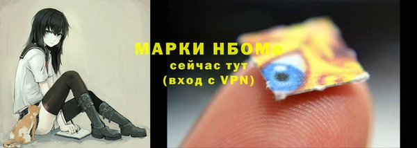 стафф Михайловск