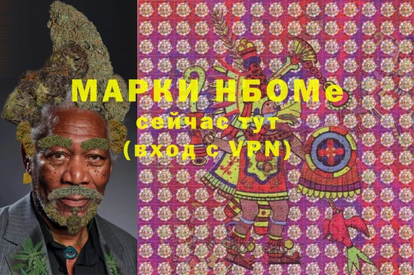 стафф Михайловск