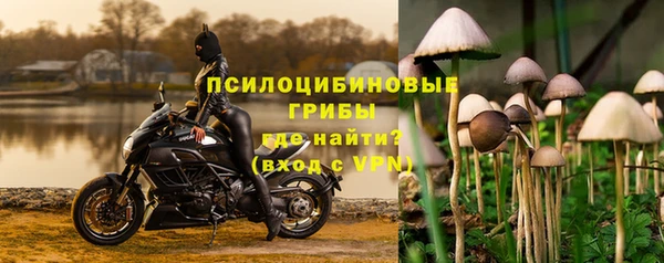 шишки Осинники