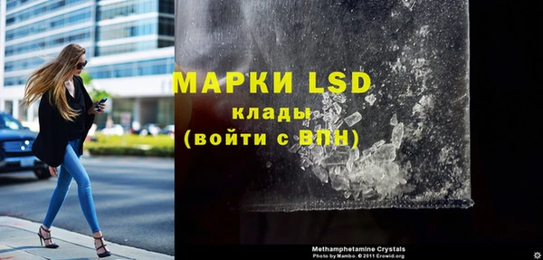 стафф Михайловск
