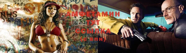 стафф Михайловск