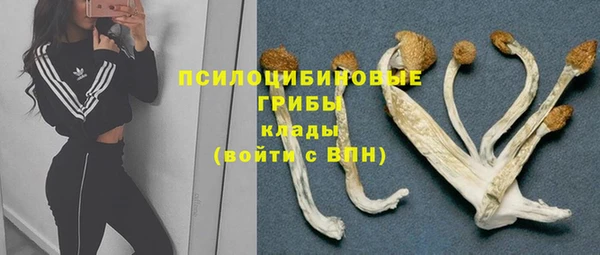 стафф Михайловск