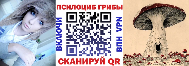мега ТОР  Новокубанск  Галлюциногенные грибы прущие грибы 