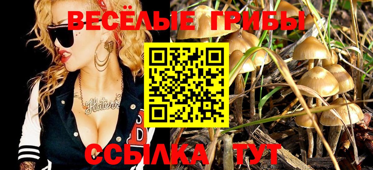 Новокубанск  Галлюциногенные грибы Magic Shrooms  Галлюциногенные грибы Psilocybe  Вход с VPN 