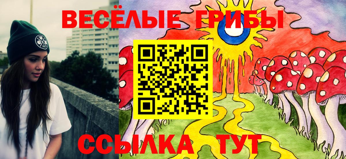 Новокубанск  Метамфетамин  КОКАИН  ГАШИШ  Лсд 25  A PVP СОЛЬ кристаллы  МЕФ кристаллы  Канабис 