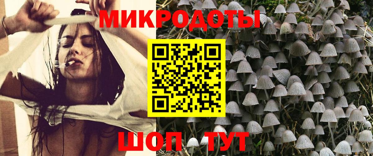 Псилоцибиновые грибы Magic Shrooms Новокубанск