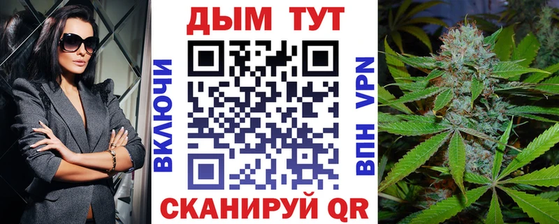 Конопля план  что такое   Новокубанск 
