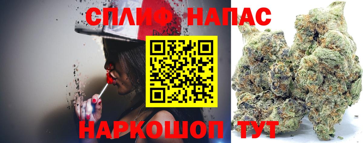 Канабис Ganja Новокубанск