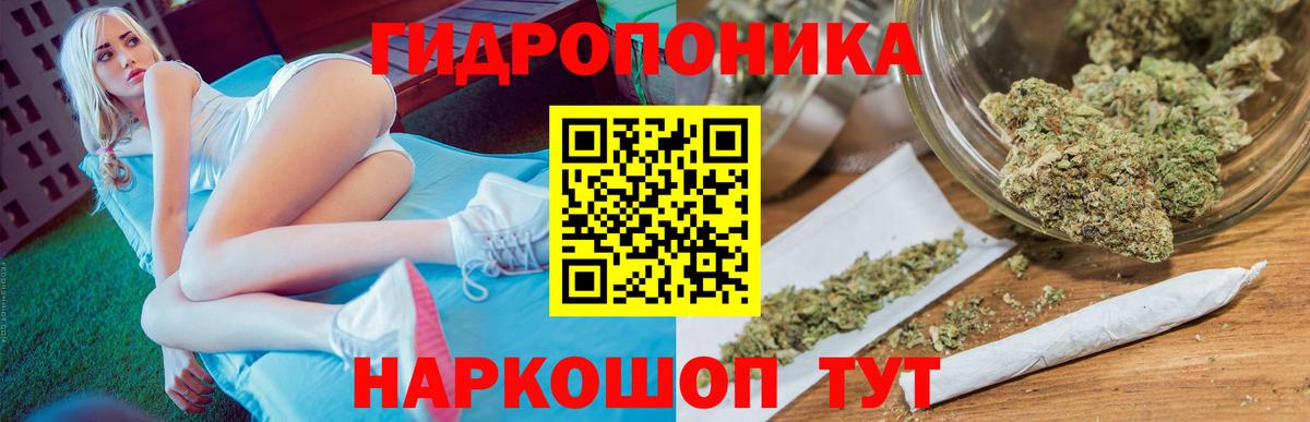Бошки марихуана LSD WEED  Канабис Bruce Banner  Новокубанск  Каннабис OG Kush  Канабис White Widow 